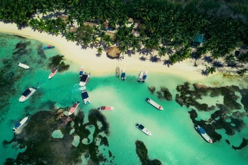 Aerial view of tropical beach, Dominican Republic