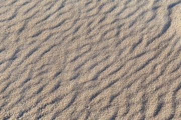 Texture background. Frozen frost-covered sand
