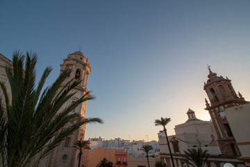C&aacute;diz (Andalucia, Spain). Tower and palm.