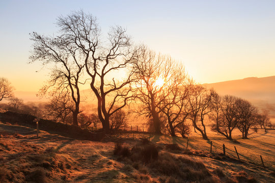 Misty and frosty sunrise with a copse of trees in winter, Castleton, Peak District National Park, Hope Valley, Derbyshire, England, United Kingdom, Europe
