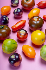Multicolored assortment of French fresh ripe tomatoes