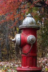 Fototapeta na wymiar isolated red fire hydrant among trees in the forest