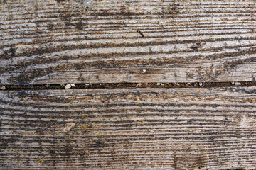 old dry wooden plank texture