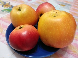 fruits 