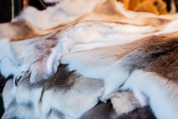 Obraz premium Pelz und Fell Verkauf auf dem Weihnachtsmarkt in Hamburg