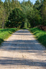 summer asphalt road in perspective