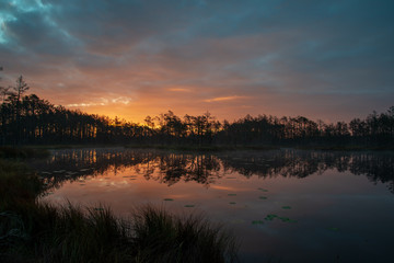 misty morning near swamp lakes
