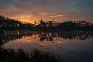 Fototapeta premium misty morning near swamp lakes