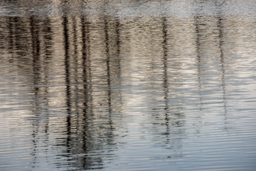 misty morning near swamp lakes