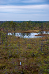misty morning near swamp lakes