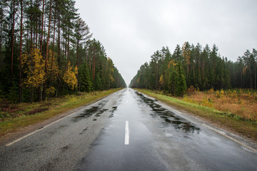 Fototapeta premium letnia droga asfaltowa w perspektywie