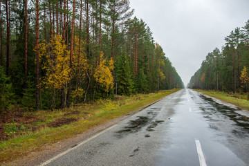 summer asphalt road in perspective