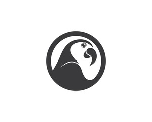 parrot illustration template design © sangidan