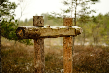 old cemetery gates in autumn