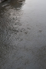 Rain rippling the surface of  water in a concrete fountain, Rome, Italy