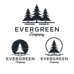 Evergreen / Pine tree Logo design inspiration - Vector - obrazy, fototapety, plakaty