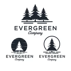 Foto op Canvas Evergreen / Pine tree Logo design inspiration - Vector © Frog_Ground