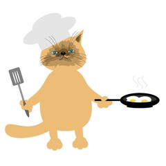 nice cat cooking eggs on white background