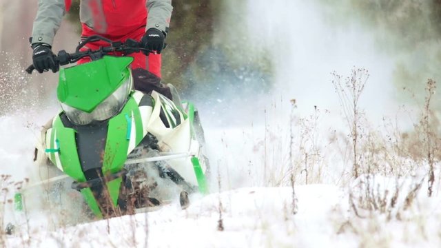 A man passes through the fur-tree on a snowmobile in the woods