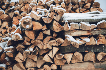 Wood Logs in winter