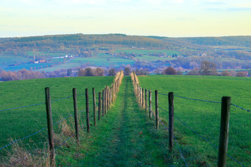 Dutch Hiking Pathway 