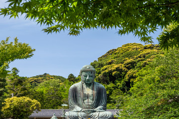 鎌倉 高徳院の大仏