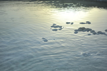 dead sea
