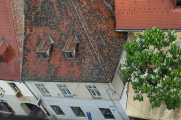 wall and roof in old town of sibiu
