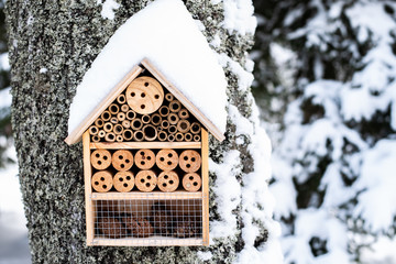 wooden insect house hung on tree in winter snow