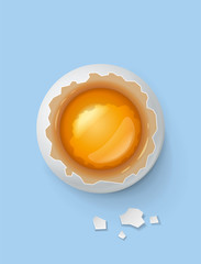 Broken egg with yolk and shell. Product for cooking breakfast. - obrazy, fototapety, plakaty
