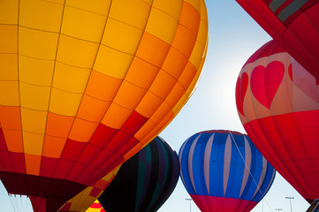 Obraz premium Group or Cluster of Hot Air Balloons, Colorado Labor Day Liftoff