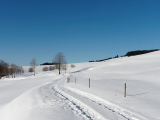 Fototapeta na wymiar Schwarzwald. Gersbach im Berg. Weg Tiergarten zum Rohrenkopf und Panoramaweg