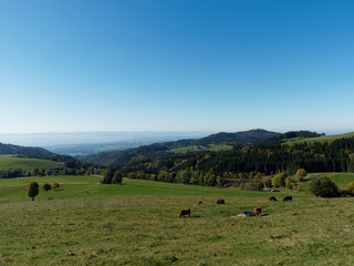 Gersbach bei klarem Wetter sind die Wiesental zu sehen