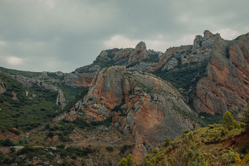 Fototapeta premium Wonderland