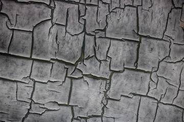 The old cracked paint on a wall surface.