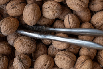 Many walnuts with a nutcracker