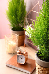 Lemon cypress trees, candle, book and clock on table