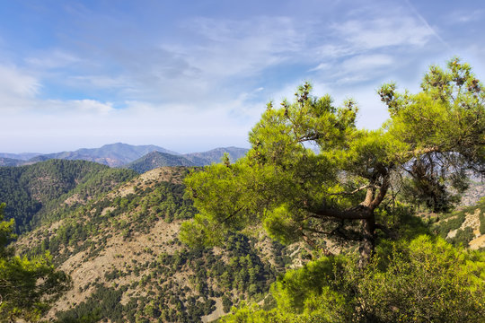 Mountains of Cyprus on a summer day.