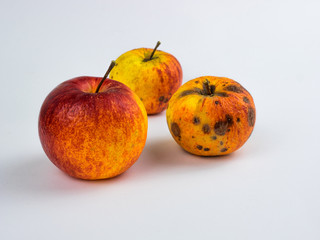 Overripe apples on white background