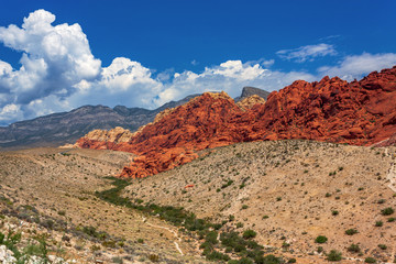 Valley view at Red Rock Canyon National Conservation Area in Nevada, USA