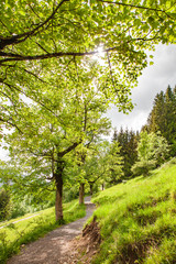 Fototapeta na wymiar Path in the Spring - Allgauer Alps - Bavaria – Germany