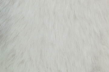 Fototapeta na wymiar white fur background, wool animal fur closeup
