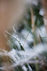 Winter. Schnee. Weihnachten.