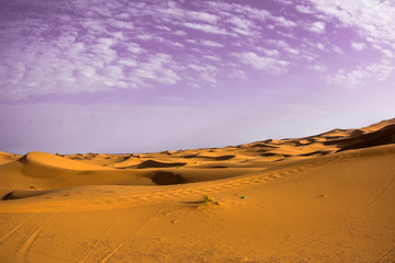 Fototapeta na wymiar Desierto de Marrakech, arena, fondo con nubes y cielo malva
