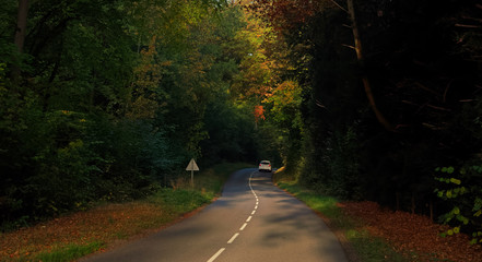 Fototapeta premium country road in Rambouillet forest
