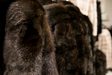 Luxury mink coats. Pink, grey, dark grey, pearl color fur coats on showcase of market. Best gift for a woman. Outerwear. Close up.