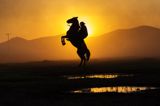 Cowboy puting his horse to stay in two feets at sunset with dust in background