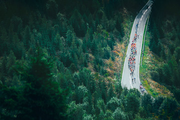 Group of cyclist ride on the road in green forest