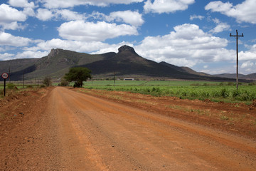 Fototapeta na wymiar red road in south africa