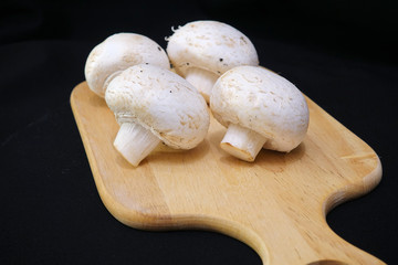 Large fresh champignon mushrooms on a wooden board. Black background